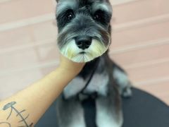 -FAELING PETS美天灵宠物(合生汇店)