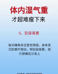 -Fundi张玉珊修身堂·indiba·BTL科技瘦身