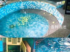 -奥帕拉拉水公园