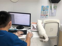 -爱诺耐芙动物医院(万博店)