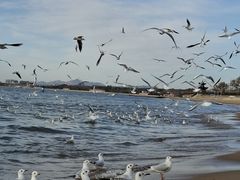 -老虎石海上公园