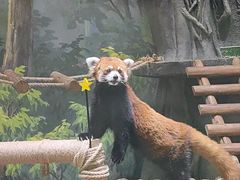-海合安成都极地海洋公园