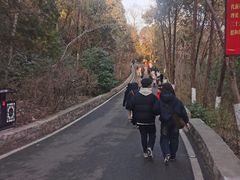 -云龙山