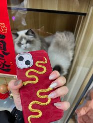-一个美甲店