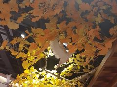 -鸽子窝(黄村店)