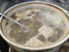 五指毛桃药膳鸽-鸽鸟轩(石岐店)