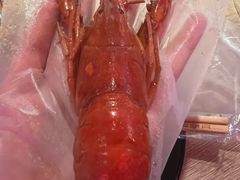 -红盔甲·小龙虾(车公庙店)
