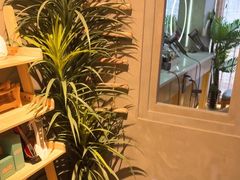-施奈儿.洗头頭療.按摩SPA.采耳(上梅林店)