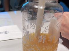 -野萃山·潮汕厚果汁(十亩地店)