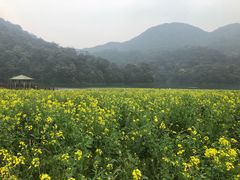 -广州市石门国家森林公园