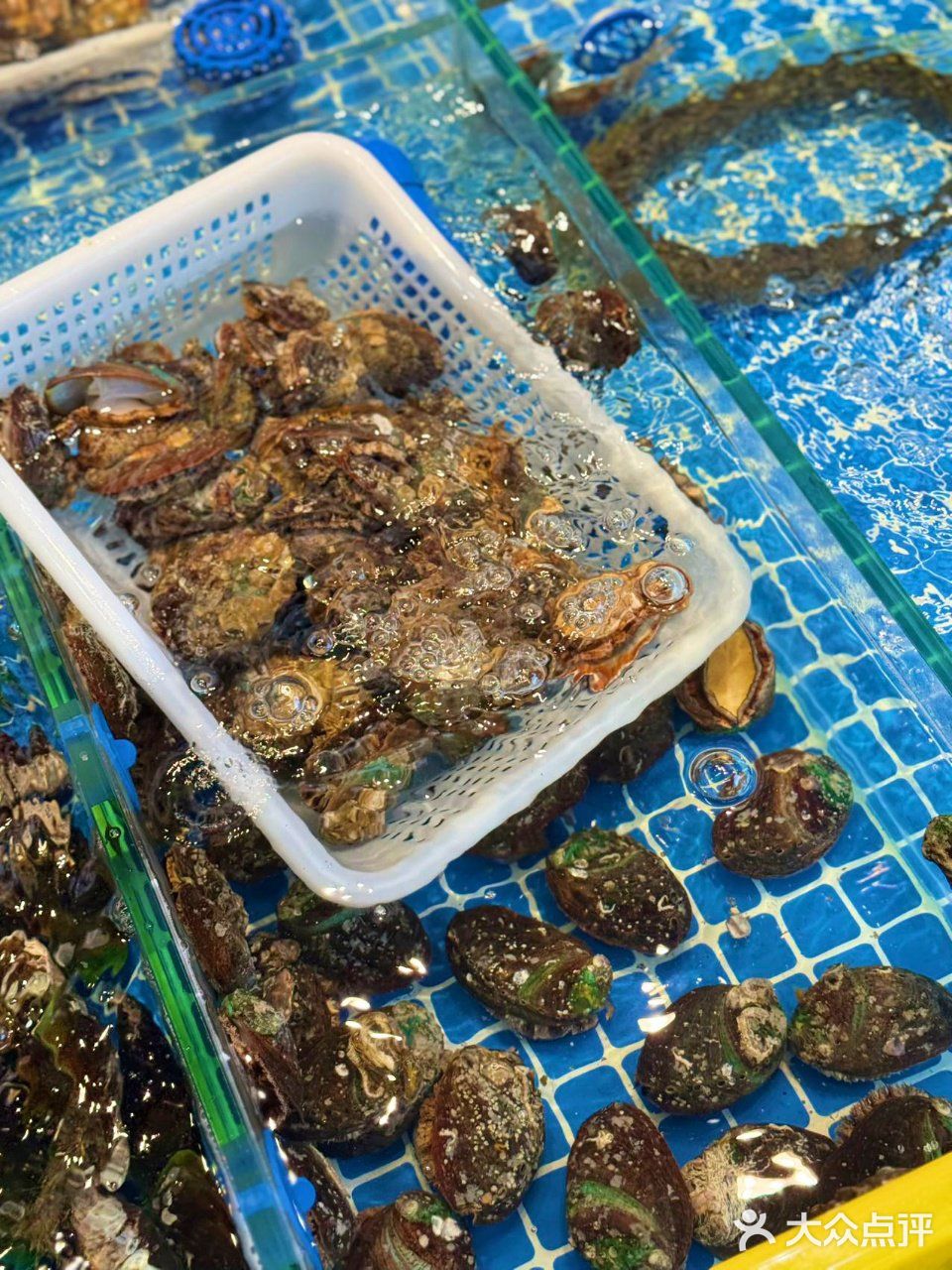 珠海拱北新晋海鲜饭堂！海鲜脑袋快~冲~冲~冲