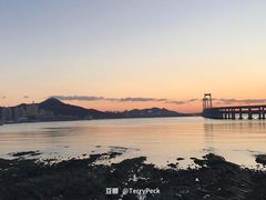 -星海湾跨海大桥