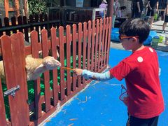 -上海崇明金茂凯悦酒店