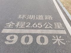 -海珠湖公园