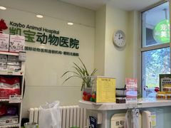 -悦宠凯宝动物医院·牙科·皮肤科(朝阳北路店)