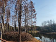 -长广溪湿地公园