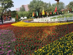 -丰台花园