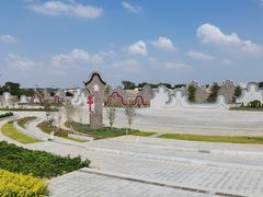 -王借岗森林公园