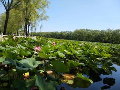 -南戴河国际娱乐中心