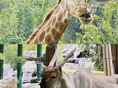 -北京野生动物园