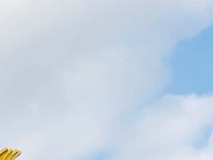 -金莲花广场