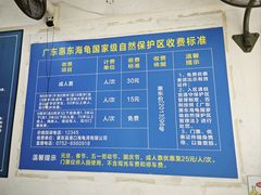 -广东惠东海龟国家级自然保护区