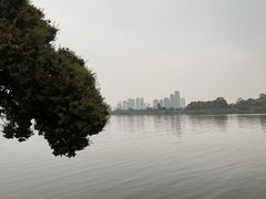 -鹤之洲湿地公园