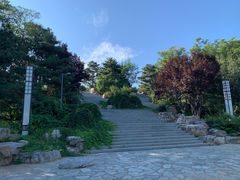 -大兴滨河森林公园