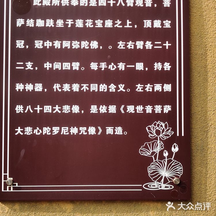 不到珞珈山，等于没来过普陀山🙏