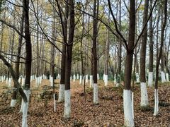 -白马涧龙池景区