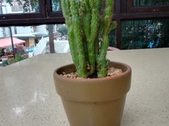 -渔太泰漓江小馆·广西融合菜(西街店)