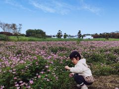 -武汉紫薇都市田园