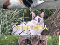 -徐家汇公园