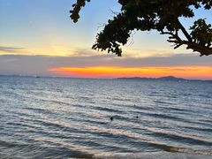 -卷心菜和避孕套餐厅(Pattaya)