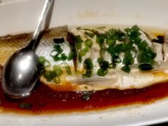 豉油蒸白水鱼-金美华轩(东方路齐鲁店)