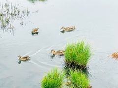 -花湖生态旅游区
