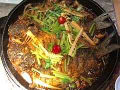 -老板恋上鱼(恒隆广场店)