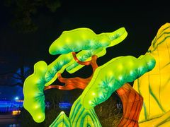 -长春市南湖公园