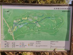 -欢乐松鼠谷