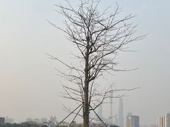 -海珠湖公园