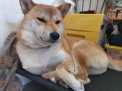 -About Bistro關於·泰式家庭料理