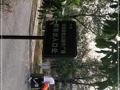 -洋湖国家湿地公园