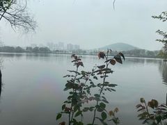 -东湖食堂·湖景餐厅•会议
