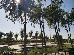 -东疆建设开发纪念公园