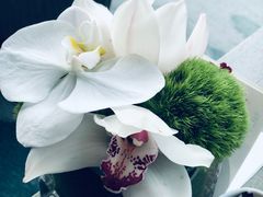 -悦厅·下午茶(杭州柏悦酒店)