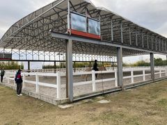 -上海崇明金茂凯悦酒店