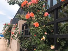 -悦隆庄温泉度假酒店