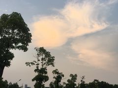 -重庆国际马戏城