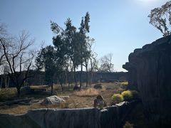 -武汉动物园
