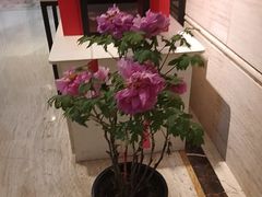 -洛阳宴·洛阳菜(南昌路店)
